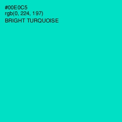 #00E0C5 - Bright Turquoise Color Image